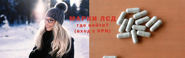прущие грибы Уссурийск