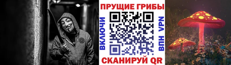 гидра ссылки  Дегтярск  Псилоцибиновые грибы мицелий 